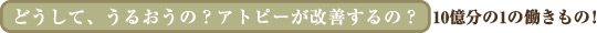 どうして、うるおうの？アトピーが改善するの？