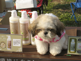 わんにゃんWORLD 2007