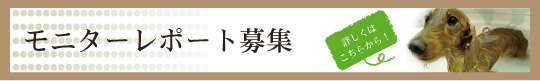 モニタレポート募集