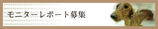 モニタレポート募集