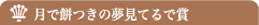 月で餅つきの夢見てるで賞